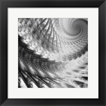 Framed Helix II Print