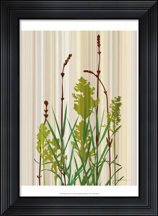 Framed Strip Garden II Print