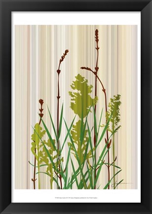 Framed Strip Garden II Print