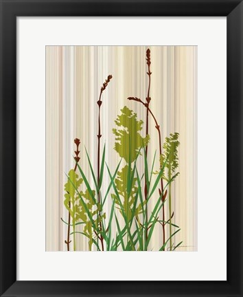 Framed Strip Garden II Print