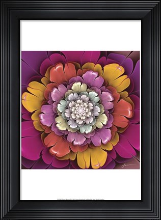 Framed Fractal Blooms II Print