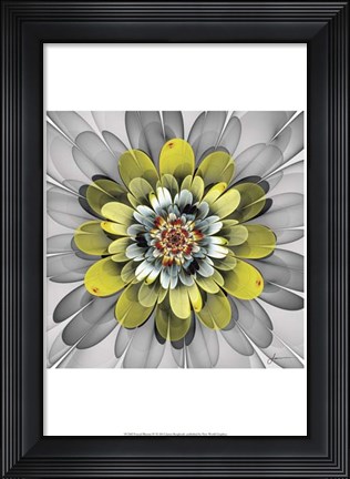 Framed Fractal Blooms IV Print