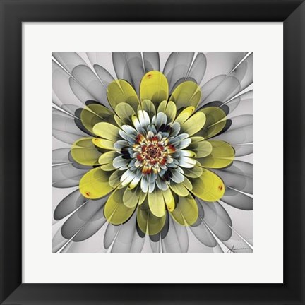 Framed Fractal Blooms IV Print