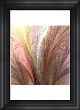 Framed Fountain Grass II Print