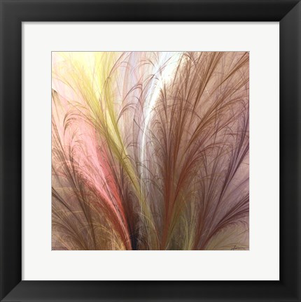 Framed Fountain Grass II Print