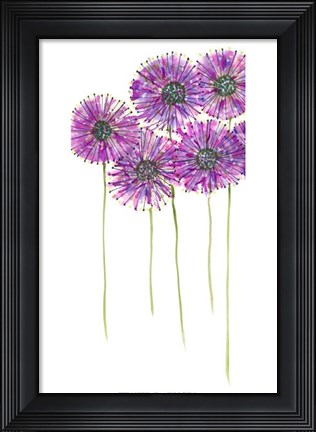 Framed Pinwheels I Print