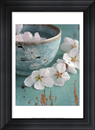 Framed Fleurs de cerisiers Print