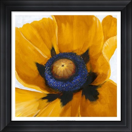 Framed Close-Up I Print