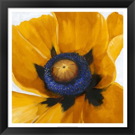 Framed Close-Up I Print