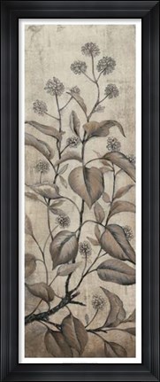 Framed Branch &amp; Blossoms II Print