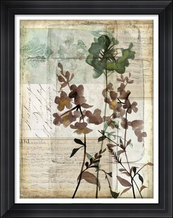 Framed Music Box Floral II Print