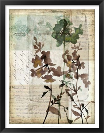 Framed Music Box Floral II Print