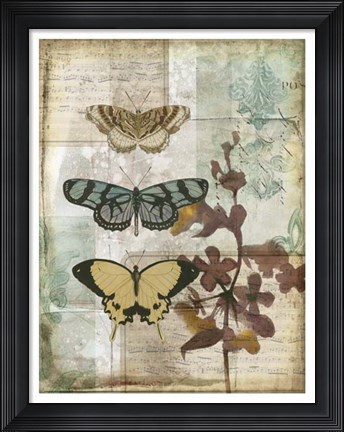 Framed Music Box Butterflies I Print