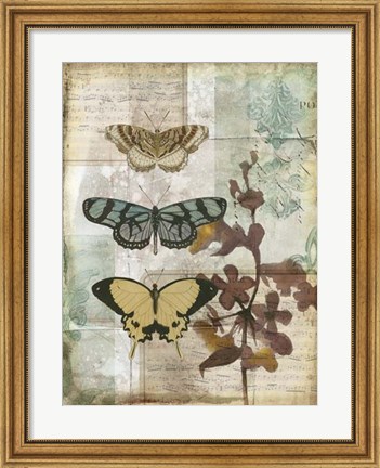 Framed Music Box Butterflies I Print