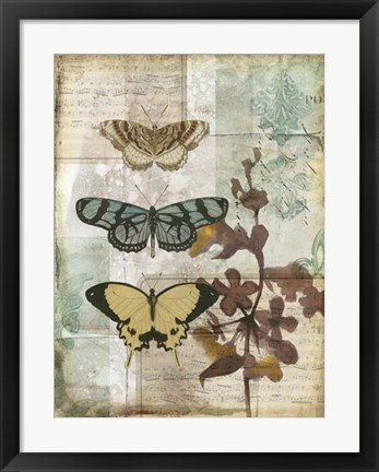 Framed Music Box Butterflies I Print