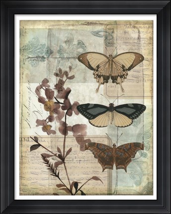 Framed Music Box Butterflies II Print