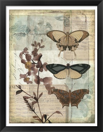 Framed Music Box Butterflies II Print