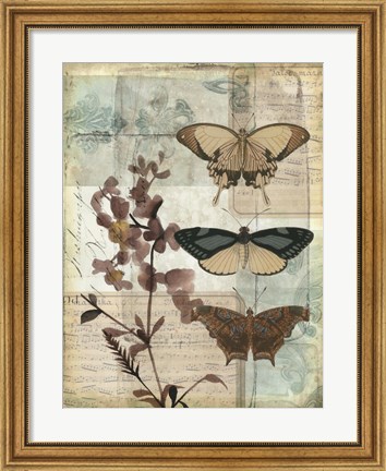 Framed Music Box Butterflies II Print