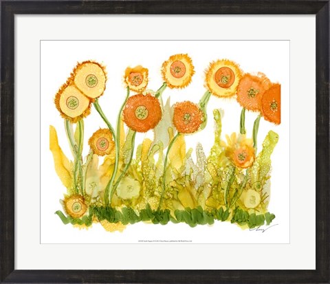 Framed Sunlit Poppies II Print