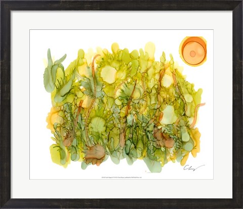 Framed Sunlit Poppies IV Print