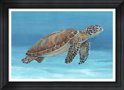 Framed Ocean Sea Turtle I Print
