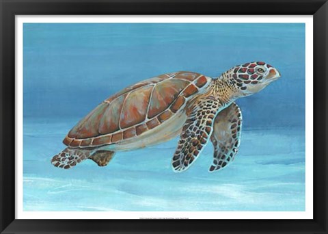 Framed Ocean Sea Turtle I Print