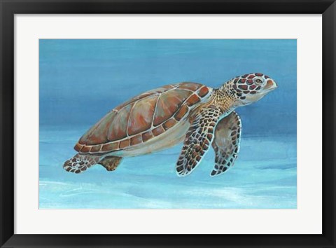 Framed Ocean Sea Turtle I Print