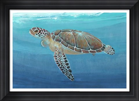 Framed Ocean Sea Turtle II Print