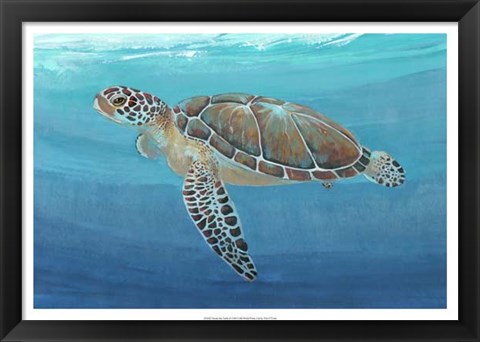 Framed Ocean Sea Turtle II Print