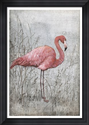 Framed American Flamingo I Print