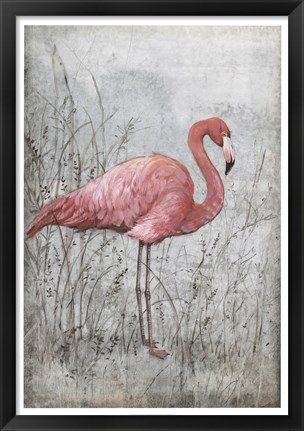 Framed American Flamingo I Print