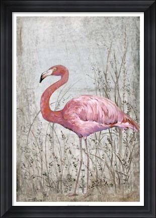 Framed American Flamingo II Print