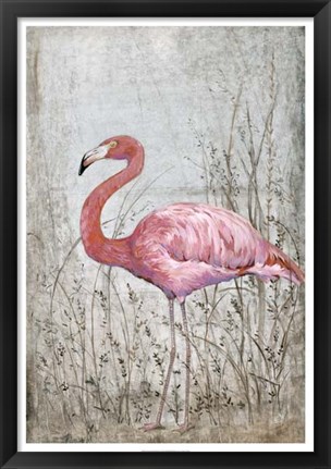 Framed American Flamingo II Print