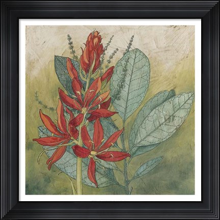 Framed Crimson Tropical I Print