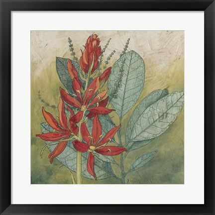 Framed Crimson Tropical I Print