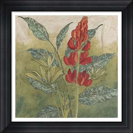 Framed Crimson Tropical II Print