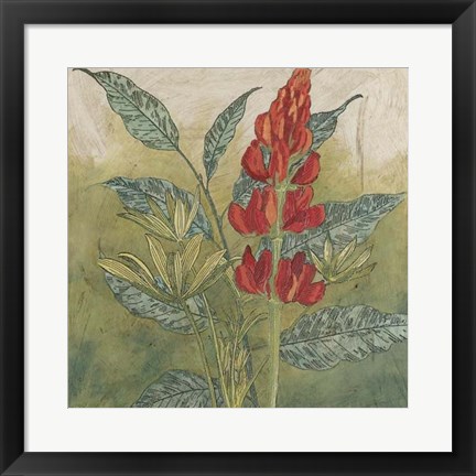 Framed Crimson Tropical II Print