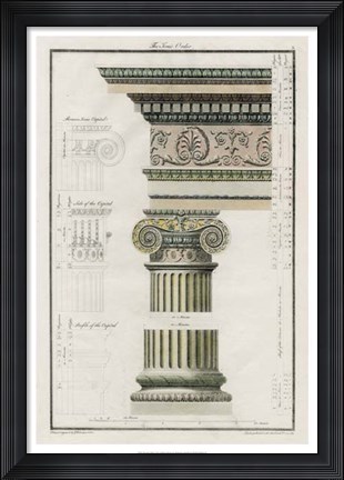 Framed Ionic Order Print