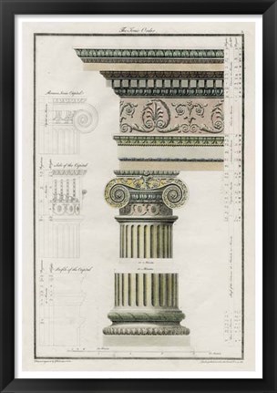 Framed Ionic Order Print