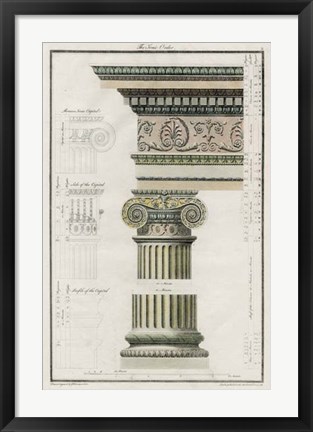 Framed Ionic Order Print