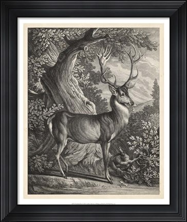 Framed Woodland Deer I Print