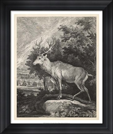 Framed Woodland Deer II Print