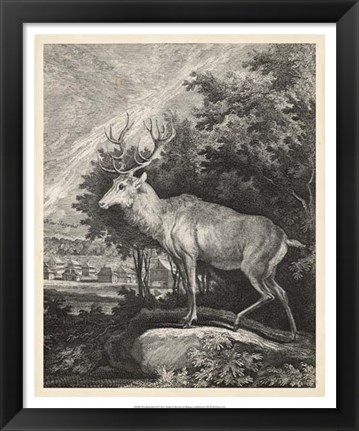 Framed Woodland Deer II Print