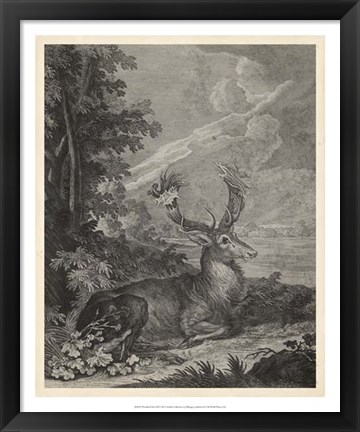 Framed Woodland Deer III Print