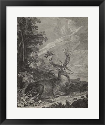 Framed Woodland Deer III Print