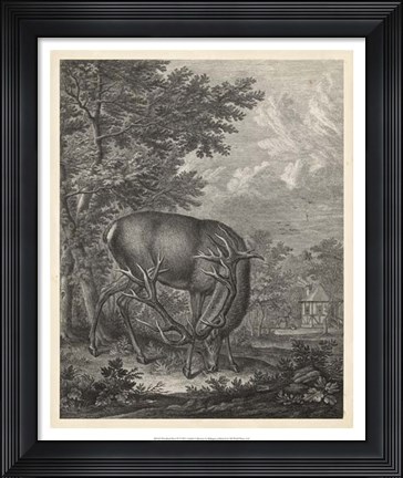 Framed Woodland Deer IV Print
