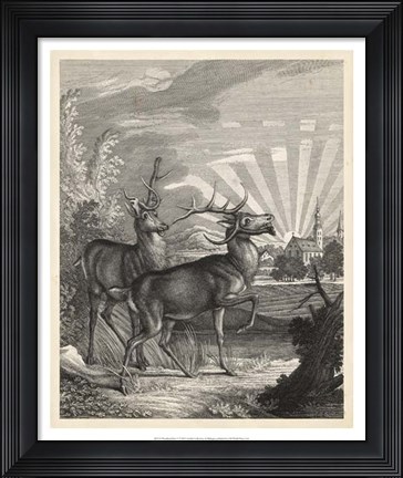 Framed Woodland Deer V Print