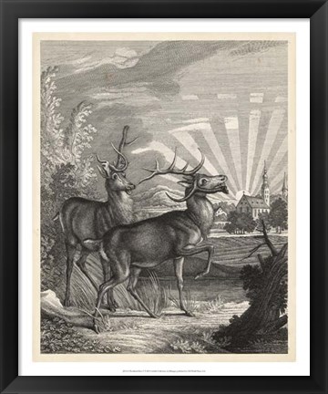 Framed Woodland Deer V Print