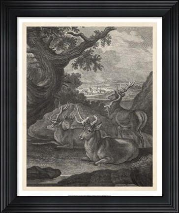 Framed Woodland Deer VI Print