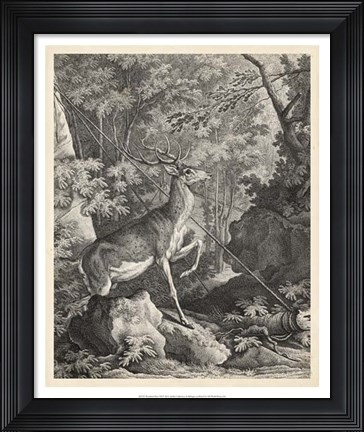 Framed Woodland Deer VII Print